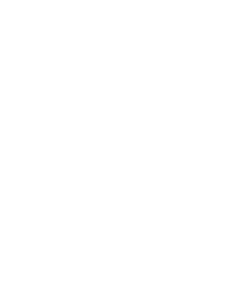 Anaya Guia Viva Express